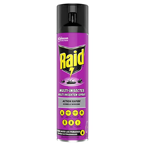 Raid Paral Multi Insektenspray, Mückenspray, zur Bekämpfung von fliegenden & kriechenden Insekten, 1er Pack (1 x...