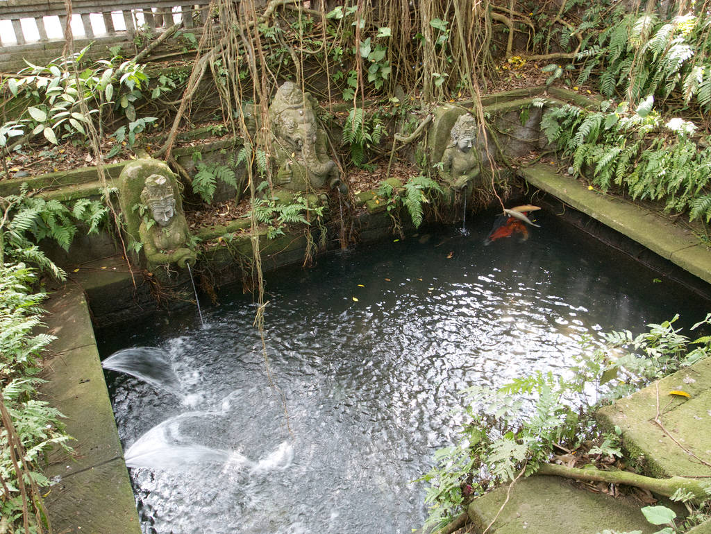 Heiliges Wasser im Affenwald