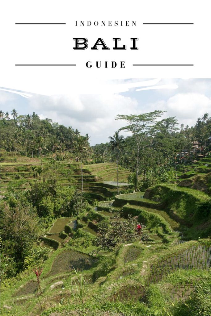 Bali Reise Guide - Pinterest Pin