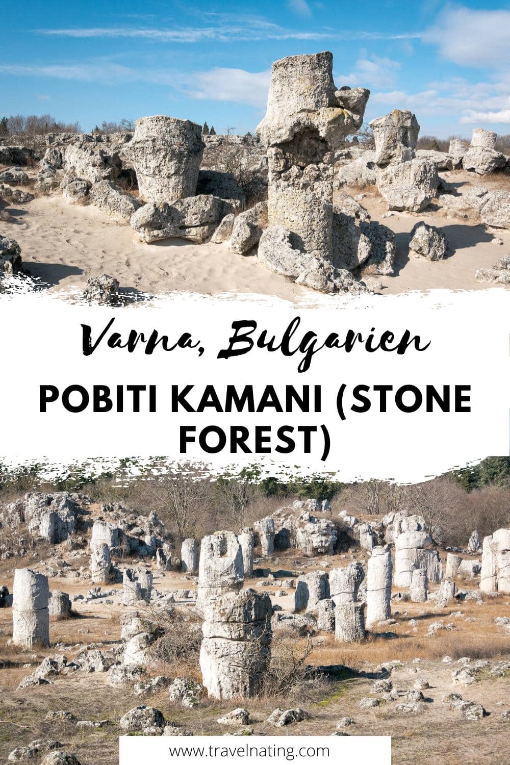 Pobiti-Kamani-Stone-Forest-Bulgarien Pobiti Kamani Bulgarien - Pinterest Pin