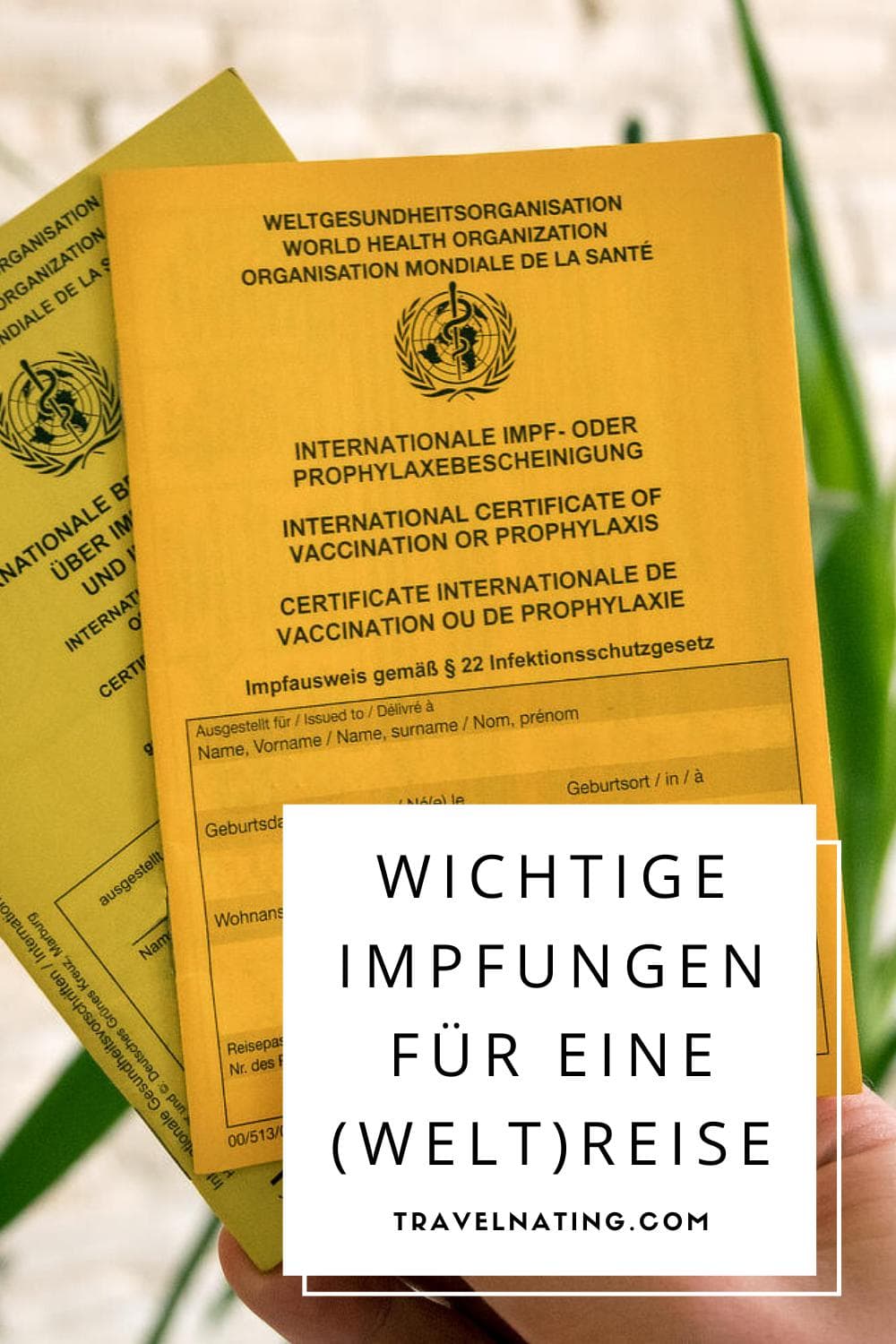 Reiseimpfungen-im-Überblick-Reiseplanung Reiseimpfungen - Pinterest Pin