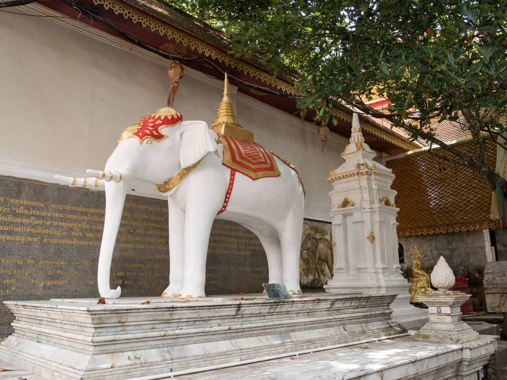 Weißer Elefant im Wat Phra That Doi Suthep