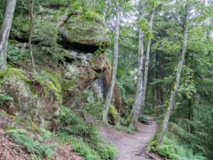 Nordaufstieg auf den Lilienstein