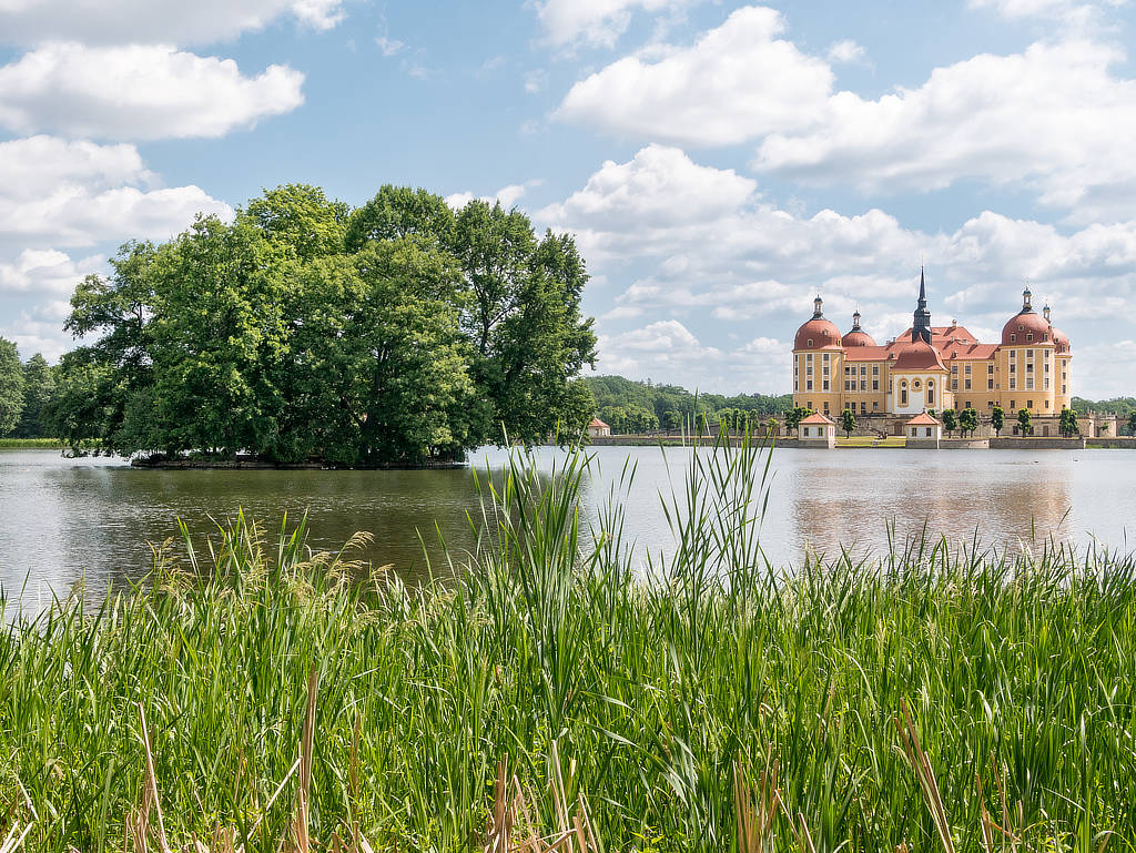 Schlossteich mit Schloss Moritzburg im Hintergrund