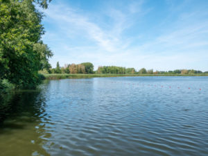 Die 6 schönsten Seen in Dresden und Umgebung