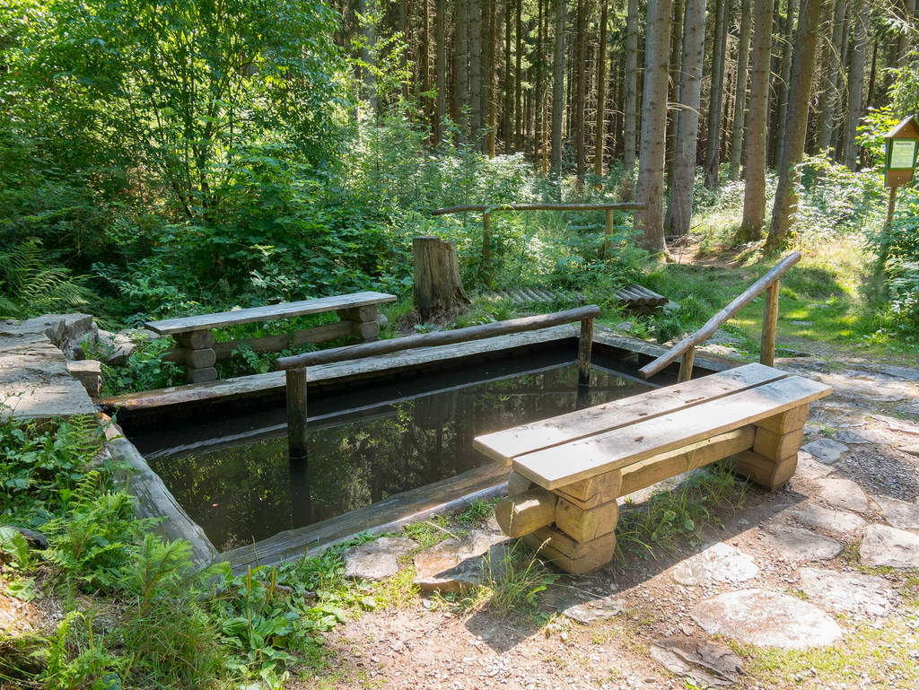 Wassertretbecken im Greifensteinwald