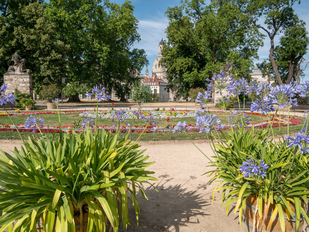 Brühlscher Garten in Dresden