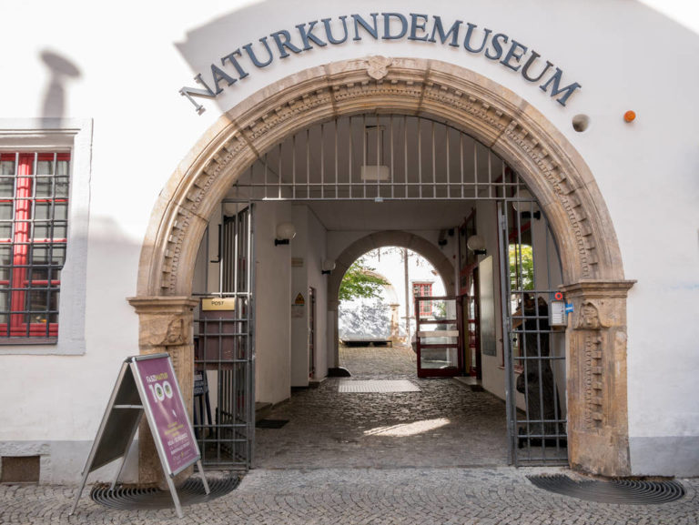 Erfurt entdecken Die Top 15 Sehenswürdigkeiten