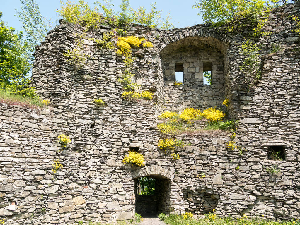 Burg Tollenstein - Überreste